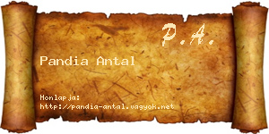 Pandia Antal névjegykártya